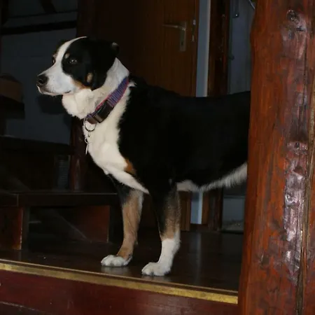 Casa de Férias Waldeck Frankenau