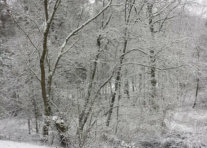 Ferienhaus Waldeck Frankenau
