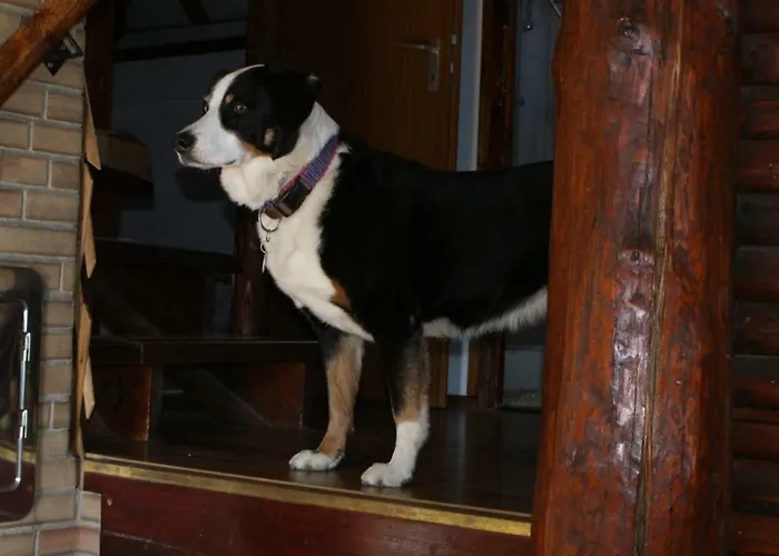 Ferienhaus Waldeck Frankenau